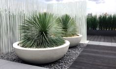 two large white planters sitting next to each other