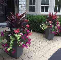 two large planters with flowers in them sitting on the side of a brick walkway