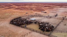 a group of people standing around horses in an open area with dirt and dust surrounding them