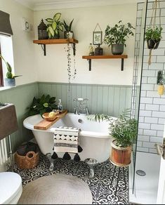 a bath tub sitting next to a toilet in a bathroom under two shelves filled with potted plants