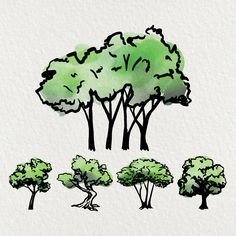 an image of trees drawn in watercolor and ink