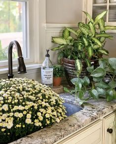 the kitchen sink is surrounded by flowers and plants