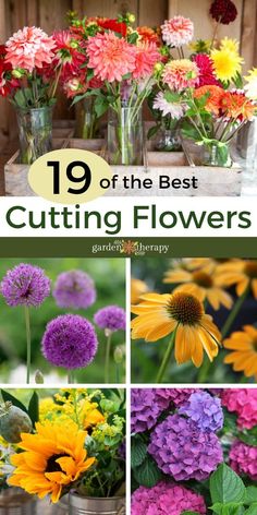 flowers that are in vases with the title saying 19 of the best cutting flowers