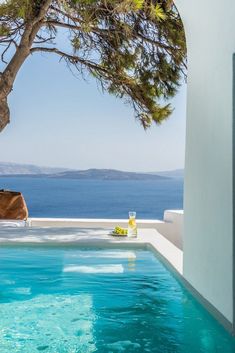 an outdoor swimming pool with blue water and a tree in the foreground, overlooking the ocean