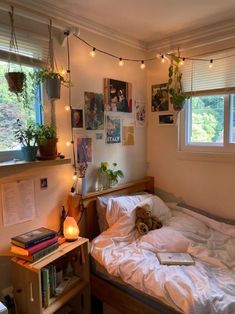 an unmade bed in a small room with lights strung from the ceiling and plants on the window sill