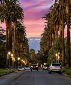 palm trees line the street as cars drive down it at dusk with mountains in the distance