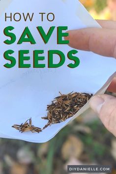 someone holding up a paper with the words how to save seeds on it