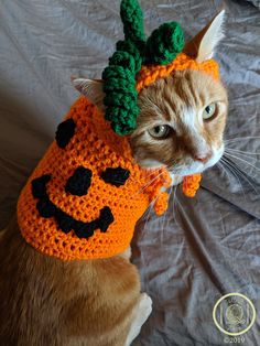 a cat wearing a crocheted pumpkin hat on top of it's head