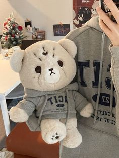 a person taking a photo of a teddy bear wearing a hoodie