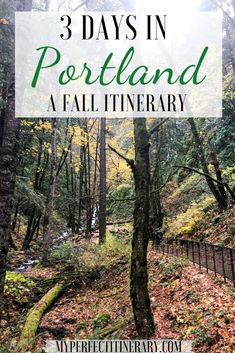 the woods and trees with text overlay that reads 3 days in portland a fall itinerary