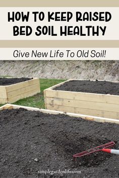 garden beds with gardening tools in them and text overlay that reads how to keep raised bed soil healthy give new life to old soil