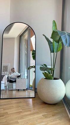 a large mirror sitting on top of a wooden floor next to a potted plant