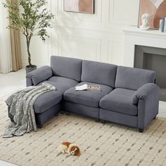 a dog laying on the floor in front of a couch with a blanket over it