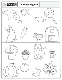 the worksheet for which is bigger?, with pictures of animals and flowers