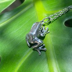 A sterling silver frog necklace from me to you!! <3 This piece is carefully hand carved out of wax and cast in sterling silver Silver Finish Oxidized to blacken the recesses and taken up to a high polish *Gold vermeil option available for an additional fee Care Instructions This piece is made from solid sterling silver, so it's very durable and made to last! If you want to give your ring a little TLC, I recommend a gentle scrub with dish soap and a soft toothbrush.  Made to Order/Processing Time Frog Jewelry, Frog Necklace, Frog Gifts, Dart Frog, Soft Toothbrush, Handmade Sterling Silver, 14kt Gold, Gold Vermeil, 3 Weeks