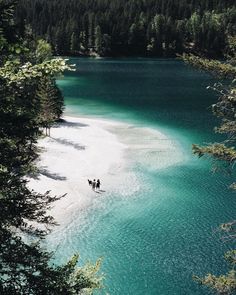 two people standing on the shore of a lake surrounded by pine trees and evergreens