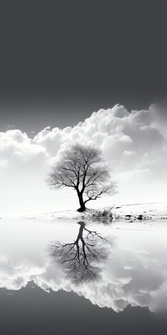 a lone tree stands in the middle of a body of water with clouds reflected on it