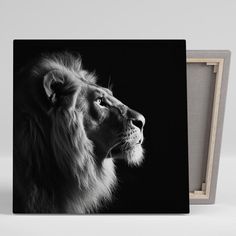 a black and white photo of a lion's face in front of a wooden frame