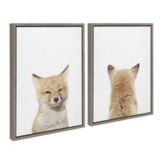 two framed pictures of foxes with their heads turned to the opposite side, one looking at the other