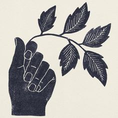 a drawing of a hand holding a branch with leaves on it, against a white background