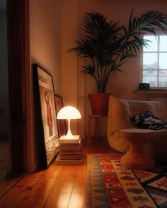 a living room with a couch, table lamp and potted plant