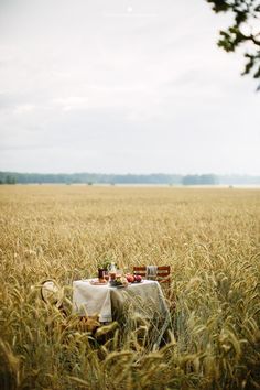 an empty table is set in the middle of a wheat field for two people to eat