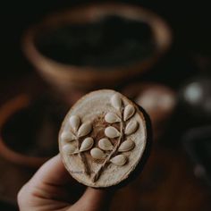 a person holding up a small piece of wood with shells on it's side