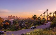 cars are driving down the road in front of palm trees and tall buildings at sunset