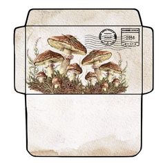 an envelope with three mushrooms on the front and one mushroom on the back, in watercolor