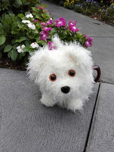 a small white dog sitting on top of a sidewalk