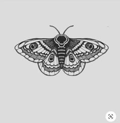 a black and white drawing of a moth on a gray background with the words,'i