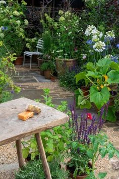 a table in the middle of a garden filled with flowers and plants, next to potted plants