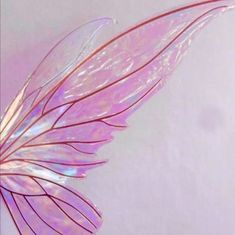 a close up of a pink and white butterfly wing