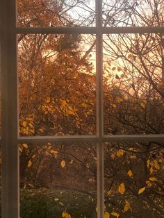 an open window looking out onto a park with trees in the background and yellow leaves on the ground