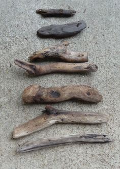 four pieces of driftwood laid out on the ground