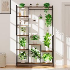 a room filled with lots of green plants and potted plants on top of shelves