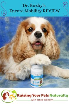 a dog laying down with its paws on top of a bottle of vitamins and the caption reads, dr bubbly's enore mobility review