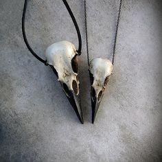 Raven Skull Duo: Bird Skull Necklace Set Save 6% by RavenRanch Real Bone Jewelry, Oddities Jewelry, Zombie Gifts, Bird Skull Necklace, Raven Skull Necklace, Crow Skull, Skull Gifts, Viking Pendant, Raven Skull