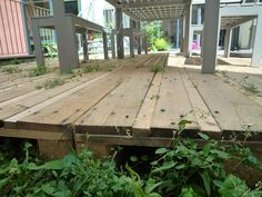 a wooden deck with weeds growing on it