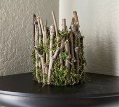 a potted plant made out of branches and moss on a black table in front of a white wall