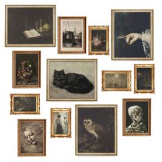 a collection of framed pictures with cats and skulls on them, including an owl in the foreground