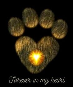 a paw print with the words, forever in my heart and an orange light shining through it