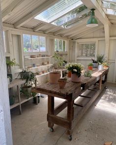 a table with potted plants on it in a room filled with windows and shelves