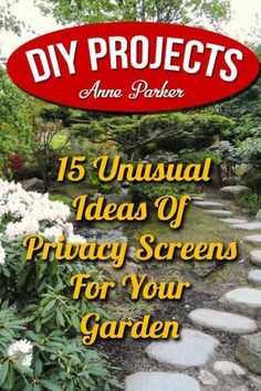 the cover of diy projects magazine, featuring an image of a garden with stepping stones and