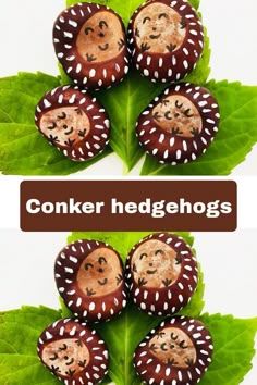 some chocolates with faces on them sitting on top of green leaves and the words conker hedgehogs