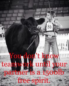 a man holding a stick next to a cow with the words you don't know teamwork until your partner is also free spirit