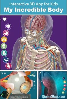 Interactive 3D app for kids teaching about human body, with 3D pictures and videos.#kidsapps Free Human Body, Lucy Calkins, Educational Apps For Kids, Human Body Anatomy, 3d Pictures, Kids Imagination, E Mc2