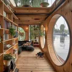 there is a dog that is standing in front of the bookshelf and looking out at the water