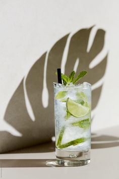 a glass filled with ice and lime slices