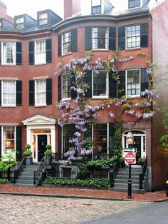 purple flowers are growing on the side of a brick building